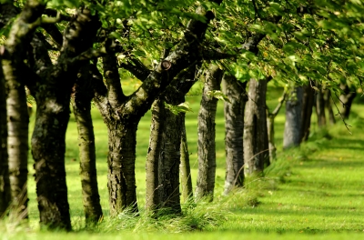 La campagne et la longère